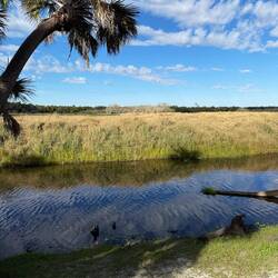 Dschungel, Steppe, Sumpfgebiete wieder alles dabei. Der Holzsteg führt über Sumpf ( im Sommer)