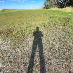 Die Schatten werden gegen Spät Nachmittag länger-der Myakka See