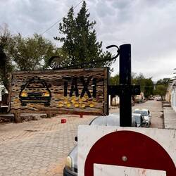 Taxi Schild auch aus Kakteenholz 😂