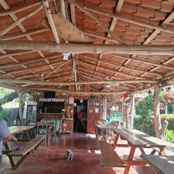 Tradotional.restaurant
