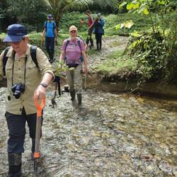 Nicht nur einmal durch einen Wasserlauf