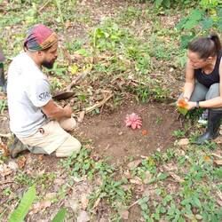 Linda bereitet den Altar mit Alain vor
