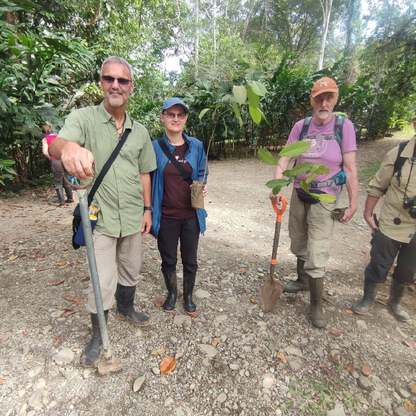 Mit dem Baum geht`s los