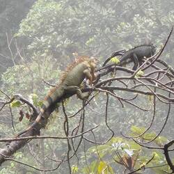 Ihnen macht das nichts aus