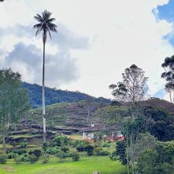 Hübsche Fincas überall