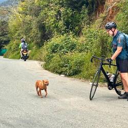 Schneller Hund! Bessere Pace als wir...