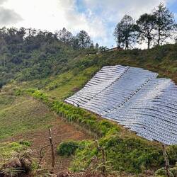 Anbau an steilen Hängen