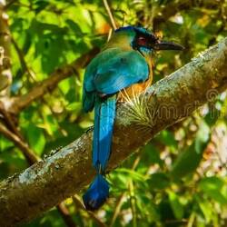 Gesehen, aber die Kamera lag im Zimmer, Foto nicht von mir