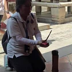 Zur Bestätigung werden 2 rote Halbmonde geworfen.