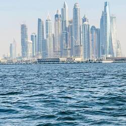 Esto no son edificios, son un bosque de edificios