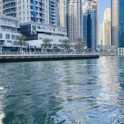 boccato di cardinale para arquitectos