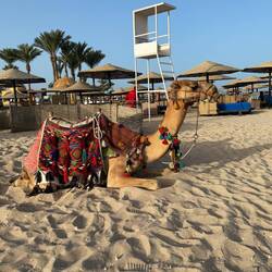 Dem werden wir es die nächsten Tage gleich tun.😜