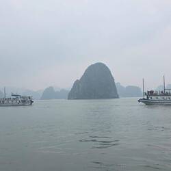 Wir sind nicht allein unterwegs