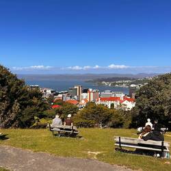 Aussicht über die Bucht mit Wellington