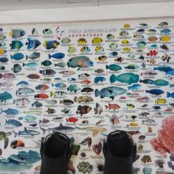 We saw many of these.