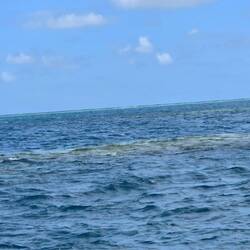 Even in the far distance. More reef.