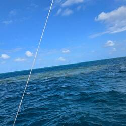 You can see the reef.