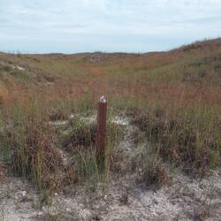 Hier z.B. nix mehr da.