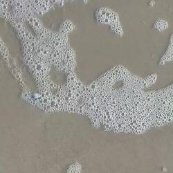 Dann noch lustige Muscheln angeschaut, werden vom Wasser freigespült und graben sich wieder ein.