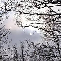 vielleicht traut die Sonne sich noch?