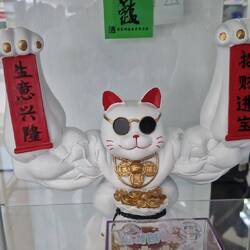 In der Apotheke 😂 Steroid Cat