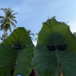 Hauptsache Blödsinn im Kopf.. es war verdammt lustig 😃😃