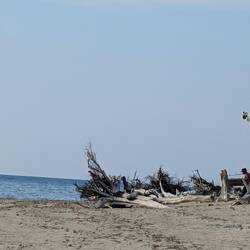 Corallenbeach bei der Shrimpsfarm