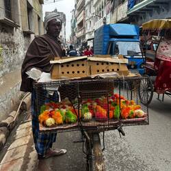 Idk why the HELL his chicks were rainbow... couldn't ask cause we don't speak Hindi