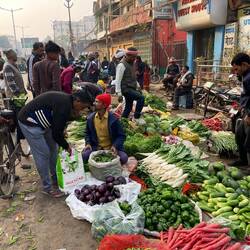 The colors of the veggies at the market 😍