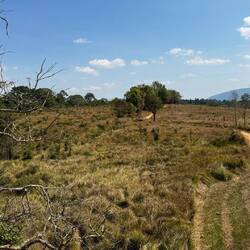 Nong Phak Chi Nature Trail