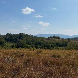 Nong Phak Chi Nature Trail