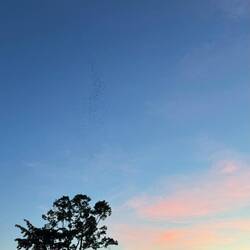 Lala Mukha Tented Khao Yai