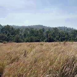 Nong Phak Chi Nature Trail