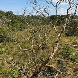 Nong Phak Chi Nature Trail