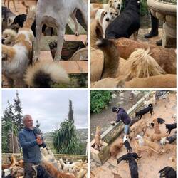 Besuch in der Tier-Sanctuary von Tanger