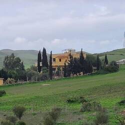 Die Tierauffangstation von Weitem