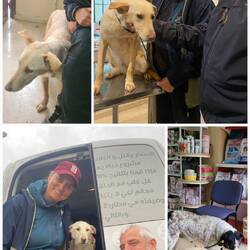 Besuch beim Tierarzt mit Pacmo