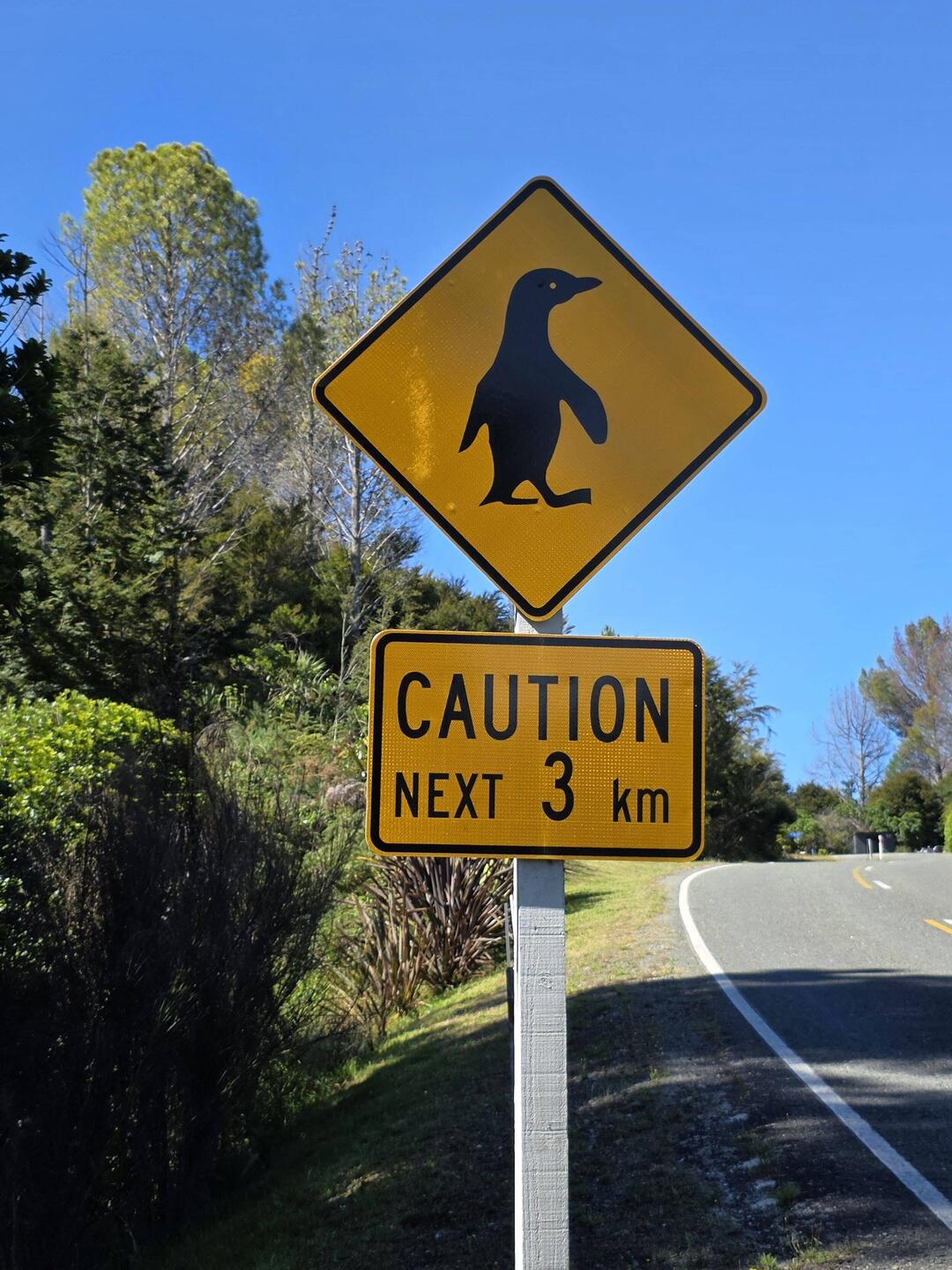 Ha! We looked for penguins but didn't see any - darn.