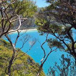 View of Anchorage Bay during hike back