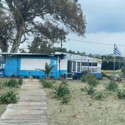 ..und werden von den überaus netten Strandbar Betreibern gefüttert..