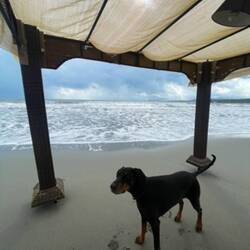 ..ansonsten sind es nur die wenigen Camper, wie wir selbst..