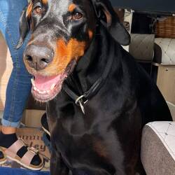 ..Wasser Füllen und ab mit uns.. 👏🏻🚐😎