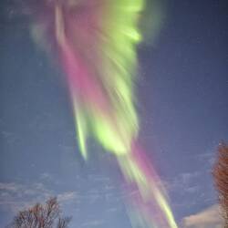 In der Dämmerung sind die Auroras besonders bunt