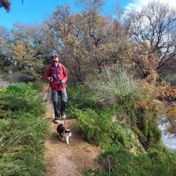Nach so viel Regen tut Sonne gut.