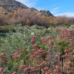 Hier sind noch mehr.