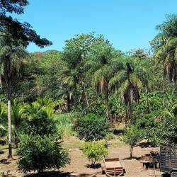 Blick von der Restaurantterrasse