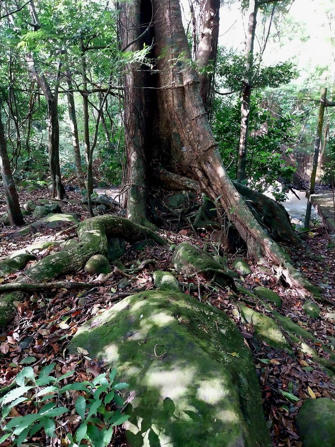 Im Nationalpark Rincon de la Vieja