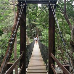 Zurück über die wackelige Hängebrücke