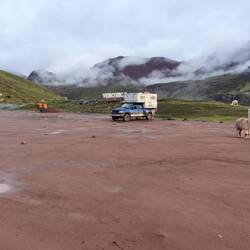 Schlunpf ganz alleine mit seinen Freunden den Lamas.