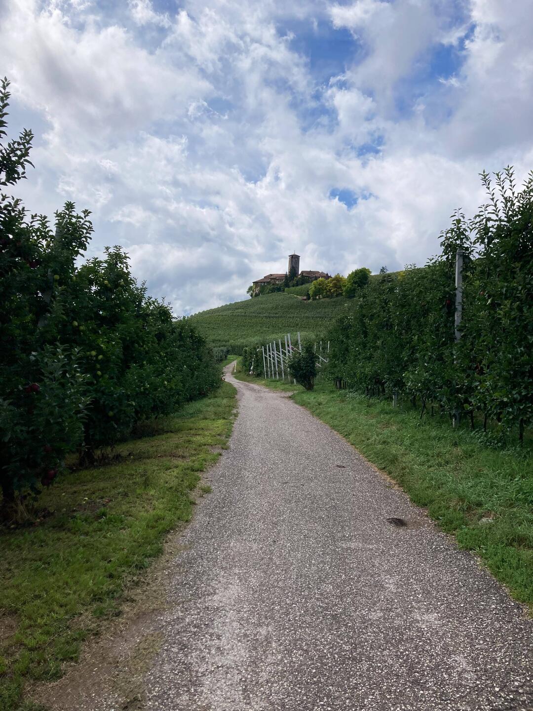 Aussicht auf Castillo Valer